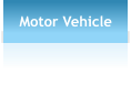 Motor Vehicle